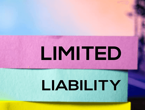 Limited Liability with a Limited by Shares company.