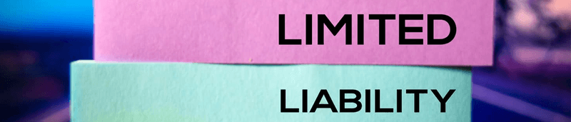 Limited Liability with a Limited by Shares company.